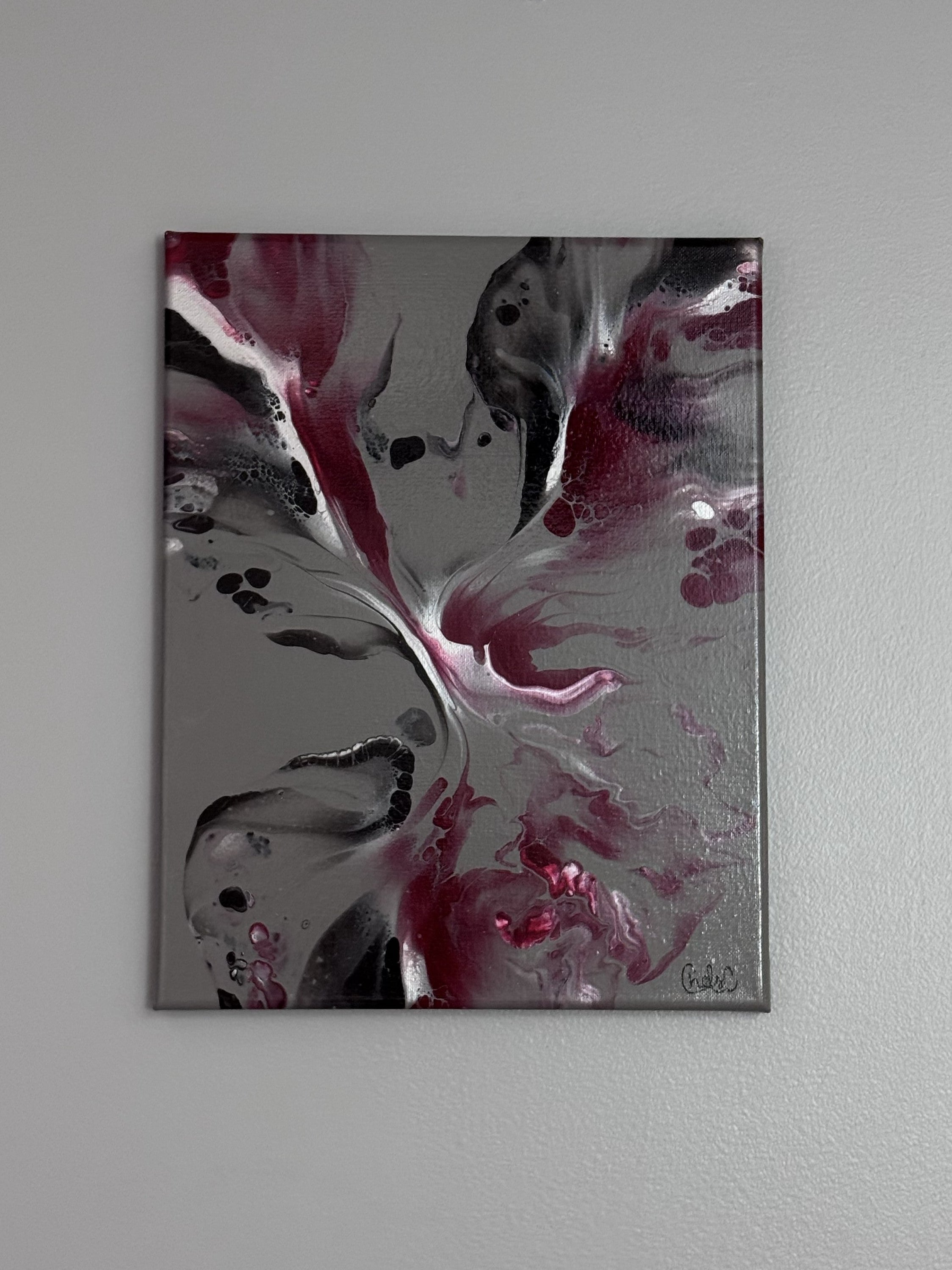 CLOUDED CARDINAL