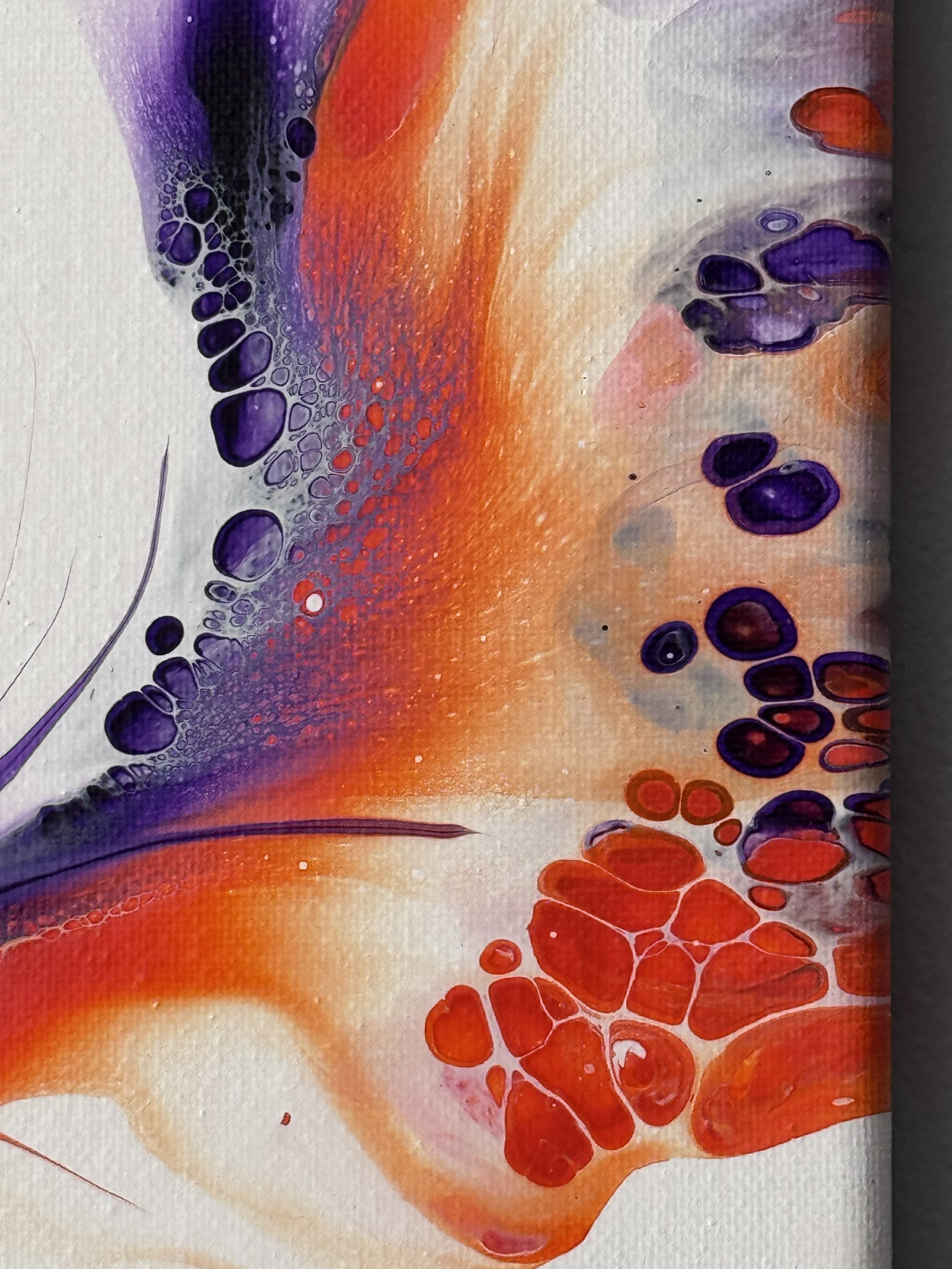 HELIOTROPE CROSSFIRE