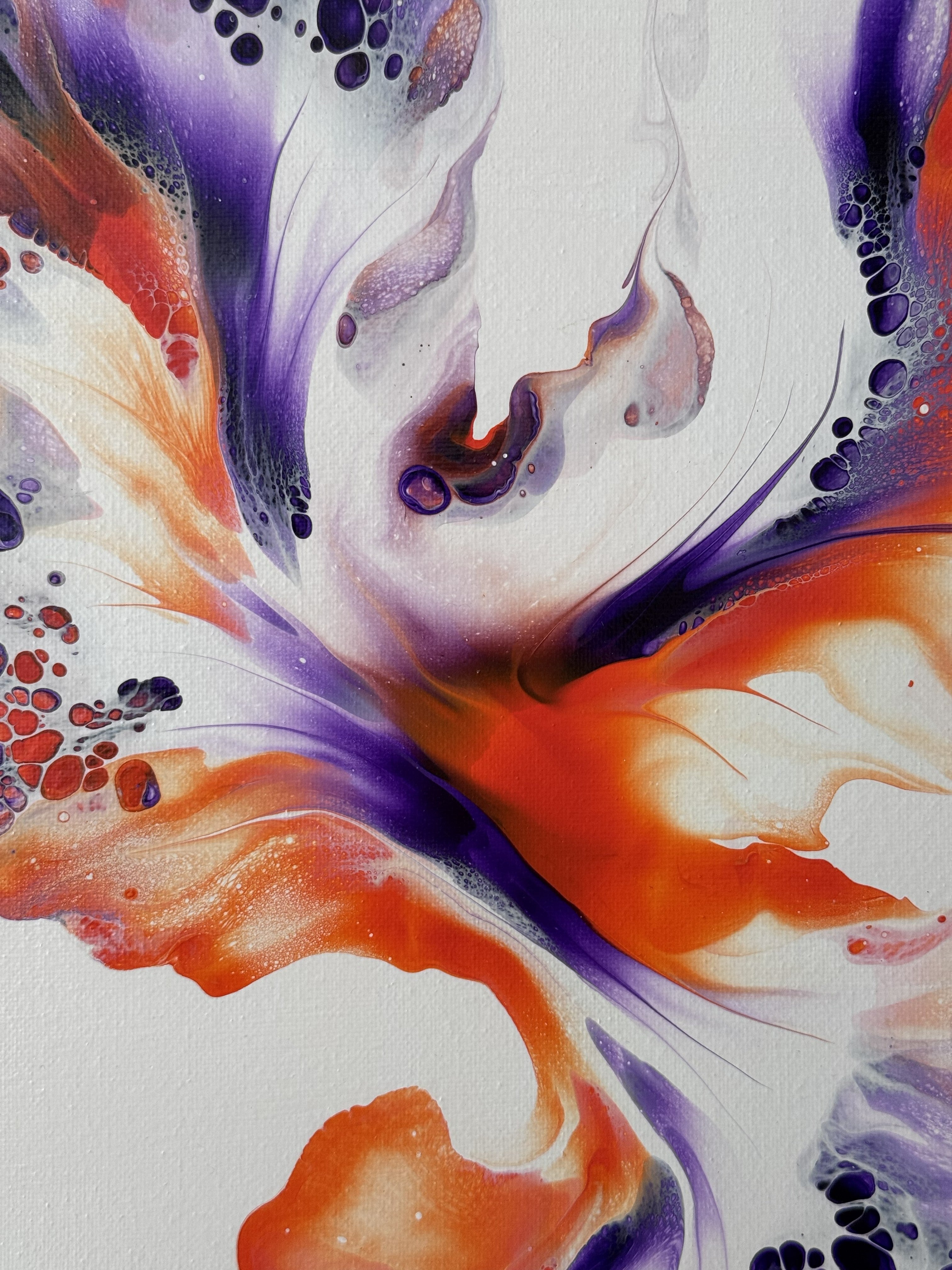 HELIOTROPE CROSSFIRE