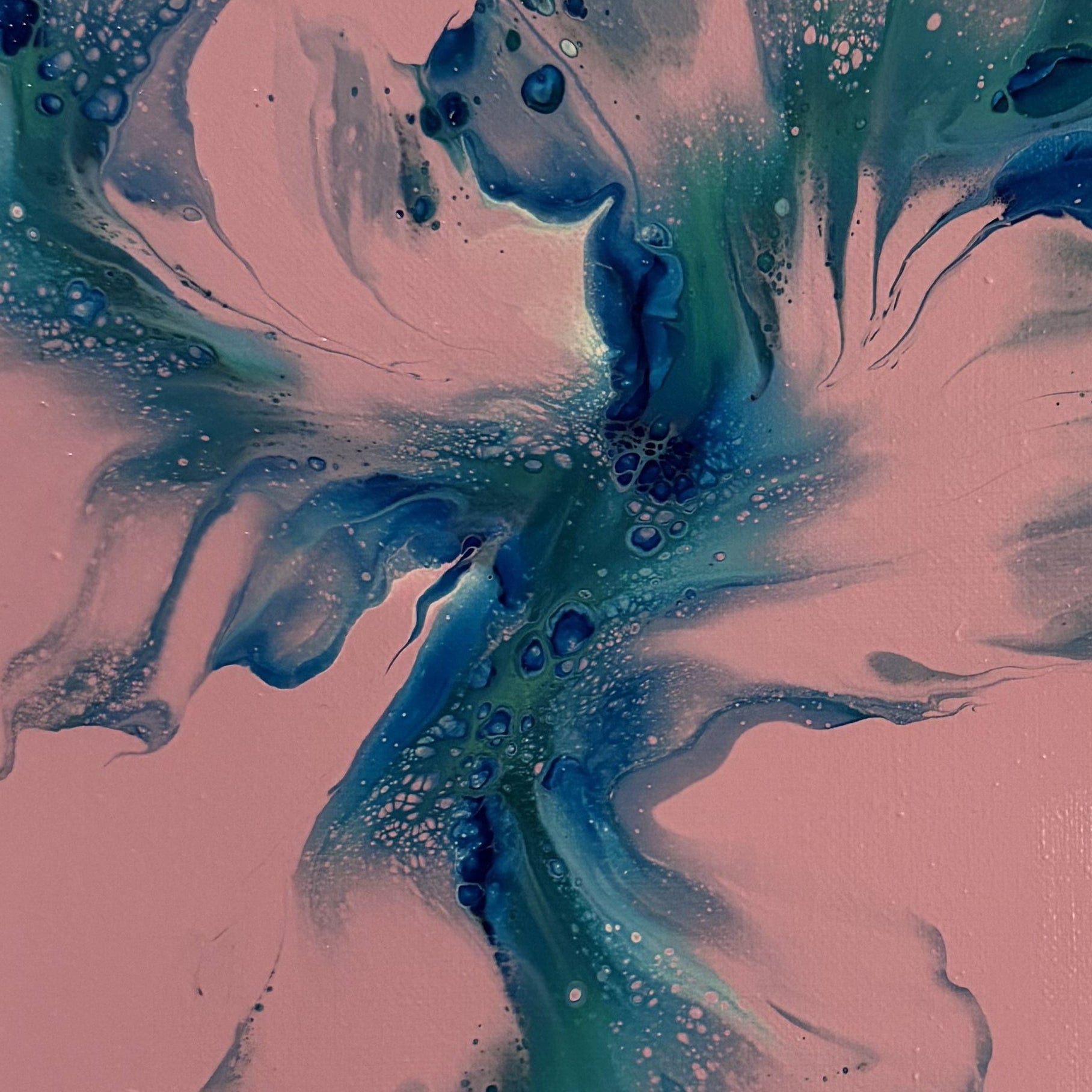 ROSETTE TORRENT