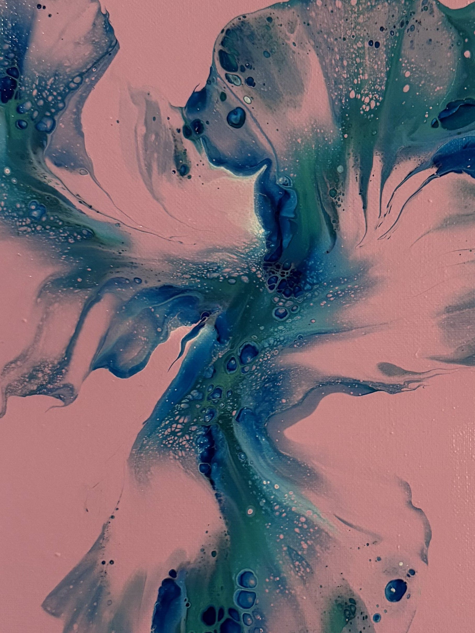 ROSETTE TORRENT