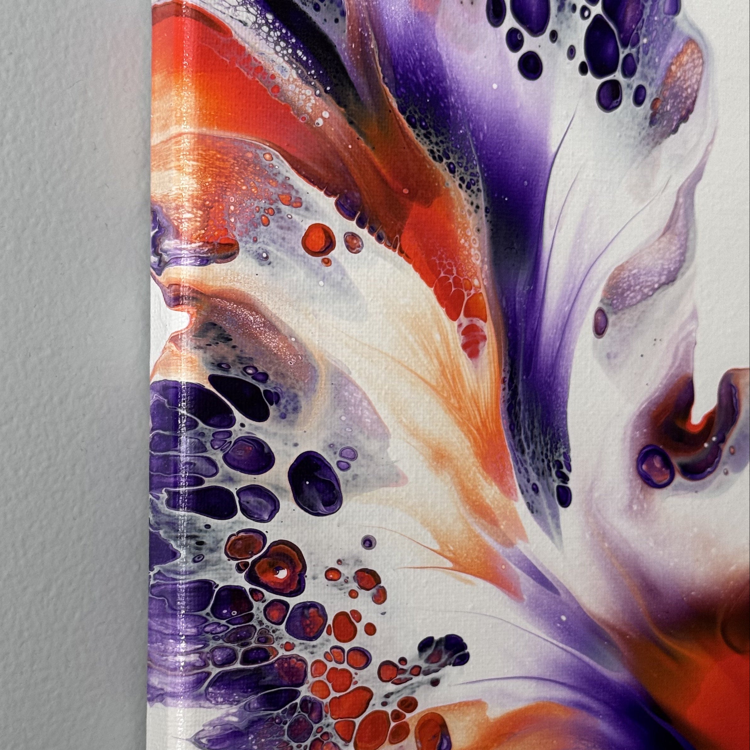 HELIOTROPE CROSSFIRE