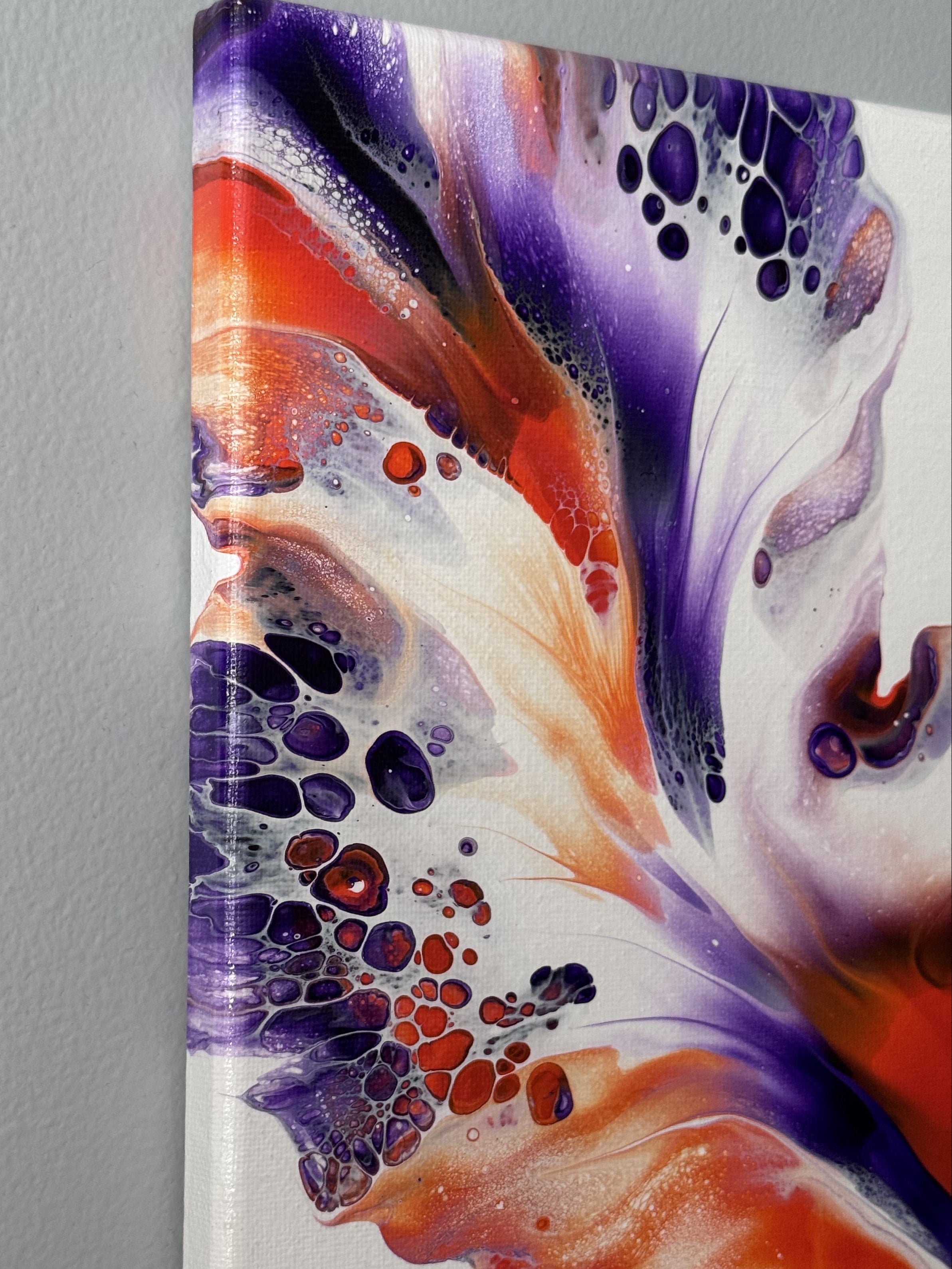 HELIOTROPE CROSSFIRE