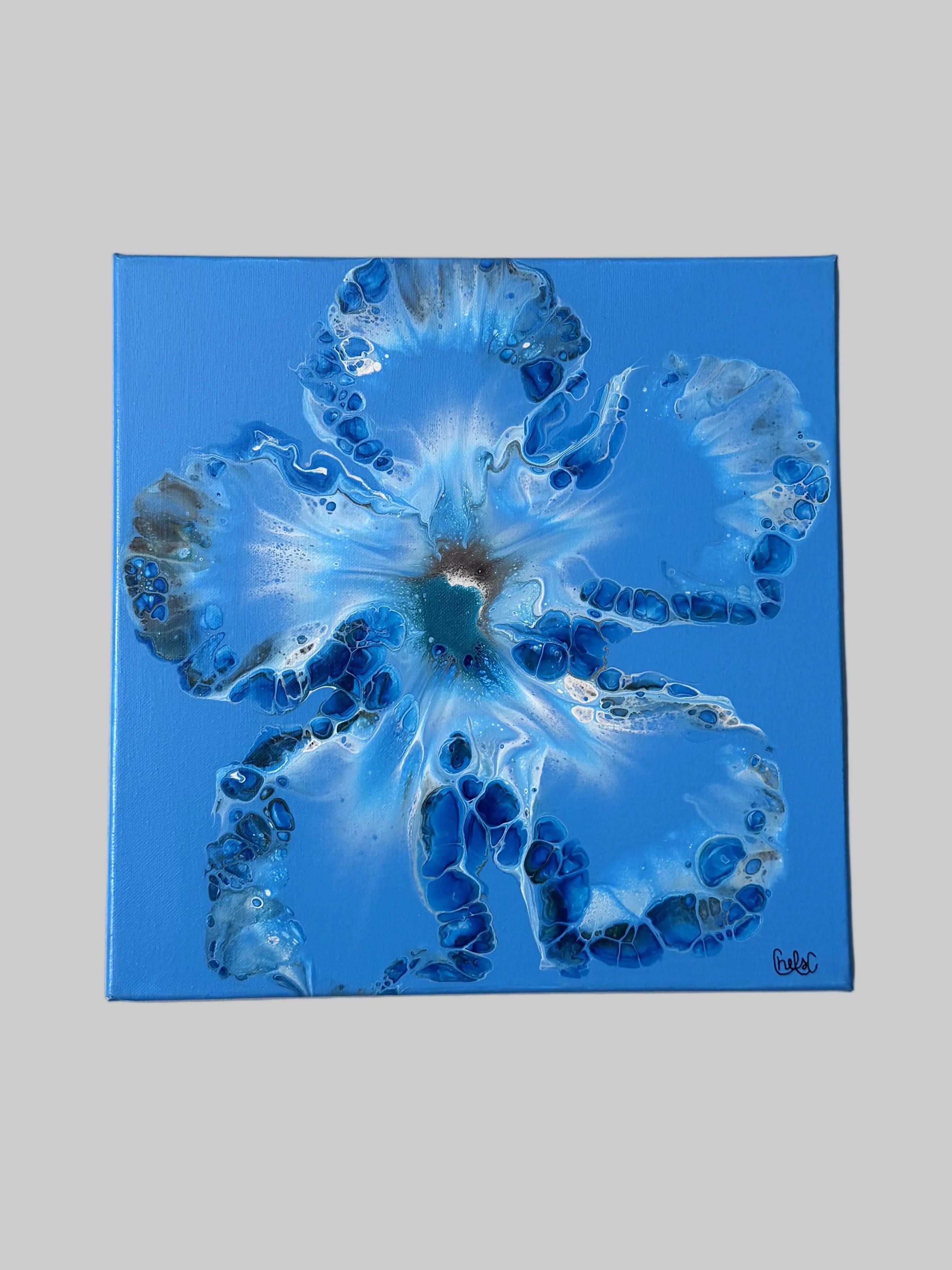 MAGNOLIA BLUE