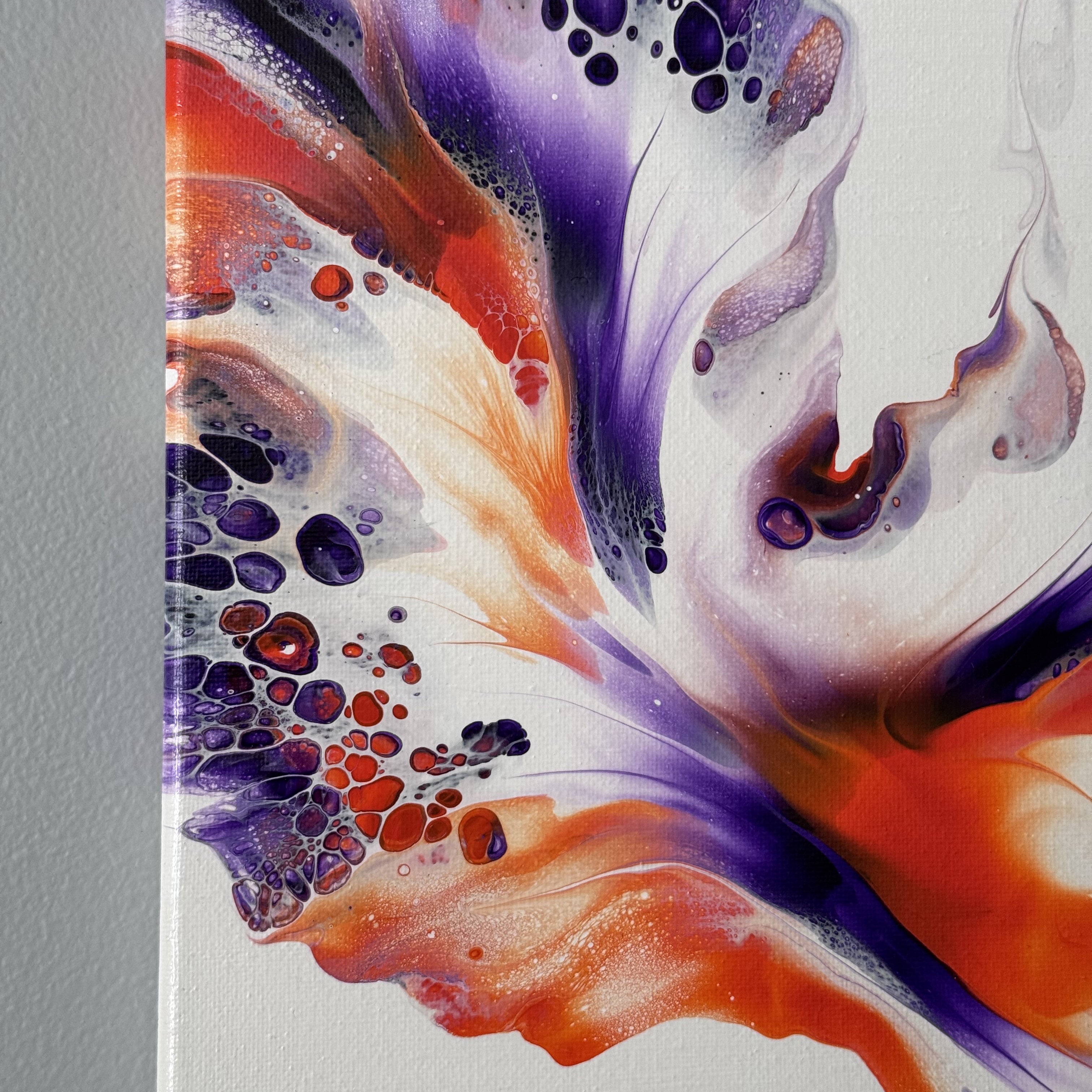 HELIOTROPE CROSSFIRE