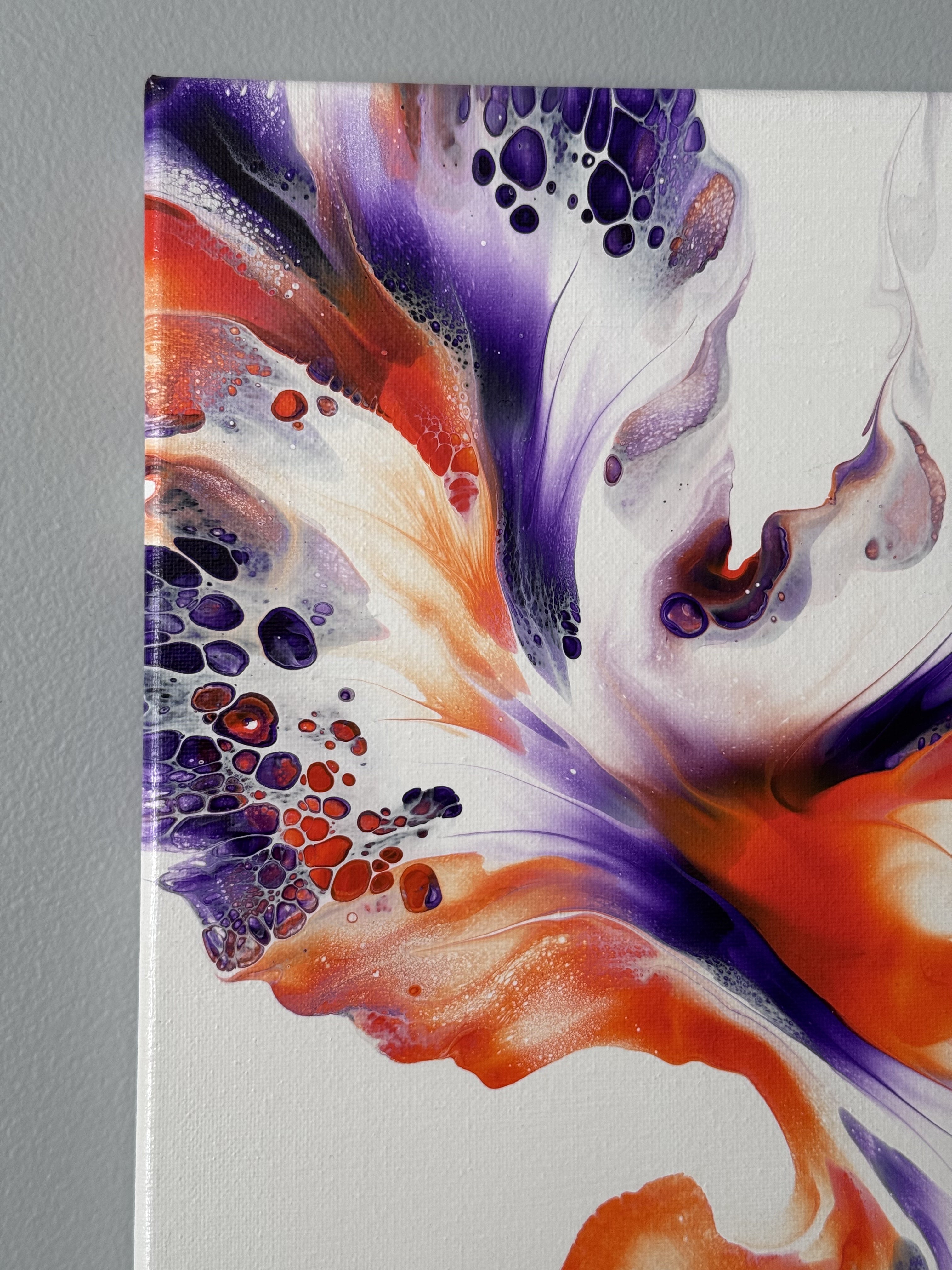 HELIOTROPE CROSSFIRE
